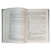 Присяга Гадяцького полку 1718 року (Подарункова оправа) - Зображення 13