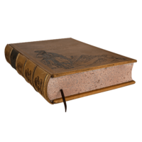 Ревізія Чернігівського полку 1732 року (Шкіряна оправа) - Зображення 20