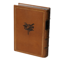 Ревізія Чернігівського полку 1732 року (Шкіряна оправа) - Зображення 22