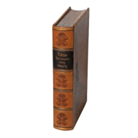 Ревізія Чернігівського полку 1732 року (Шкіряна оправа) - Зображення 10