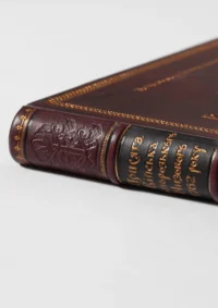 Присяга Війська Запорозького Низового 1762 року (Подарункова оправа) - Зображення 18