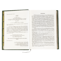 Присяга Гадяцького полку 1718 року (Подарункова оправа) - Зображення 9