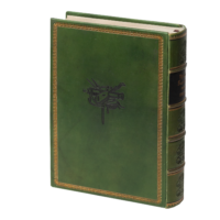 Присяга Гадяцького полку 1718 року (Подарункова оправа) - Зображення 18