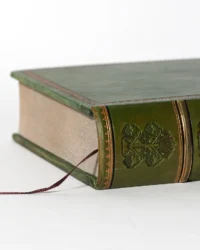 Присяга Гадяцького полку 1718 року (Подарункова оправа) - Зображення 20