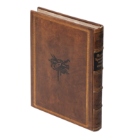 Переписи Чернігівщини 1638 та 1713 років (Преміально-подарункове видання) - Зображення 4