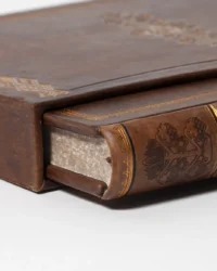 Переписи Чернігівщини 1638 та 1713 років (Преміально-подарункове видання) - Зображення 9