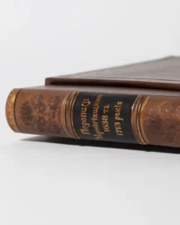 Переписи Чернігівщини 1638 та 1713 років (Преміально-подарункове видання) - Зображення 11