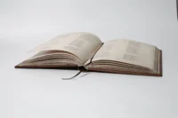 Переписи Чернігівщини 1638 та 1713 років (Преміально-подарункове видання) - Зображення 19