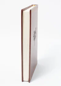 "Чернігівська переписна книга 1666 року ", авторів Сергій Горобець, Ігор Ситий - фото №4