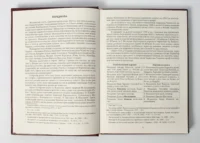 "Чернігівська переписна книга 1666 року ", авторів Сергій Горобець, Ігор Ситий - фото №7