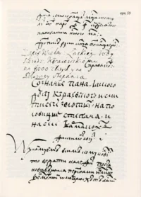 "01. РУСЬКА (ВОЛИНСЬКА) МЕТРИКА. КНИГА ЗА 1569-1572, 1574 РОКИ.", Кулаковський П. М., Святець Ю. А. автор - фото №11