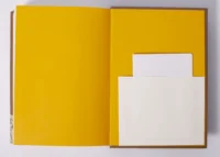 "01. Мазепина книга, перепис маєтностей ясновельможного пана гетьмана 1726 року.", І.М. Ситий автор - фото №18