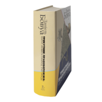 "Трикутник Правобережжя: царат, шляхта і народ. 1793–1914 рр.", Даніель Бовуа автор - фото №19