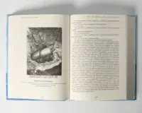 "Френсіс Дрейк. Життя та неймовірні пригоди королівського корсара.", Віктор Губарев автор - фото №19