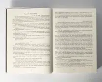 "Кульгавець. Історичний роман з 11 століття", автор Марія Букрій - фото №18