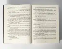"Кульгавець. Історичний роман з 11 століття", автор Марія Букрій - фото №17
