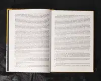 "Відомість про залінійні поселення Полтавського полку 1762 року", автор Сухомлин - фото №24