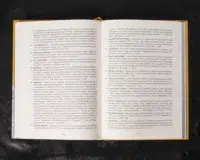 "Відомість про залінійні поселення Полтавського полку 1762 року", автор Сухомлин - фото №15