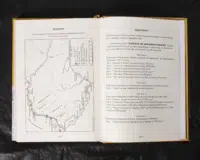 "Відомість про залінійні поселення Полтавського полку 1762 року", автор Сухомлин - фото №11