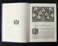"Сумно ангел зітхнув", автор Наталія Кавера-Безюк - фото №24