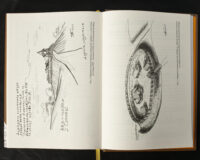 "Переписи Чернігівщини 1638 та 1713 років" - фото №19