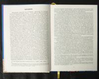 Вінницький ґродський суд. Поточна актова книга за 1768 рік. Подокументний опис /упорядники Петренко О.С., Росовецький О.С./ - Зображення 11