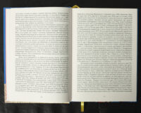 Вінницький ґродський суд. Поточна актова книга за 1768 рік. Подокументний опис /упорядники Петренко О.С., Росовецький О.С./ - Зображення 13