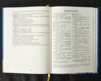 Вінницький ґродський суд. Поточна актова книга за 1768 рік. Подокументний опис /упорядники Петренко О.С., Росовецький О.С./ - Зображення 21