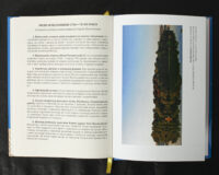 Вінницький ґродський суд. Поточна актова книга за 1768 рік. Подокументний опис /упорядники Петренко О.С., Росовецький О.С./ - Зображення 25