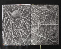 Пригодник. Таємниці Брамура /Яскр/ Велике ілюстроване видання фентезі - Зображення 7