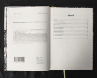 Пригодник. Таємниці Брамура /Яскр/ Велике ілюстроване видання фентезі - Зображення 9