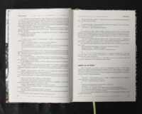 Пригодник. Таємниці Брамура /Яскр/ Велике ілюстроване видання фентезі - Зображення 16