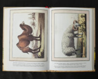 "Україна та сусідні землі в XVIII ст. Подорожі барона фон Кампенгаузена", Л. П. Б. Кампенгаузен автор - фото №21