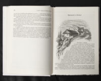 Спогади з Волині, Полісся і Литви. 1840 рік /Ю.І. Крашевський/ (2025) - Зображення 11