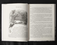 Спогади з Волині, Полісся і Литви. 1840 рік /Ю.І. Крашевський/ (2025) - Зображення 24