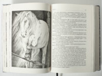 зрада або як стати володарем раїса іванченко ілюстрація Gurge Feodor білий кінь