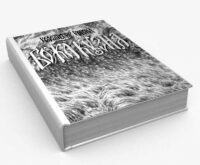 Божа Кузня. Легенда сіверського краю /Володимир Ворона/ (2026) - Зображення 2
